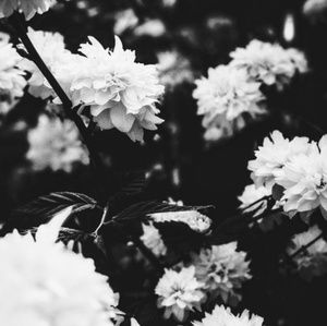 Meet your Posher, Chloe